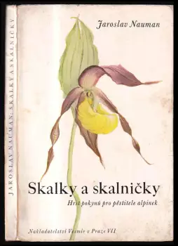 Název varianty