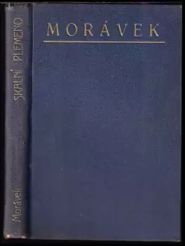 Název obrázku