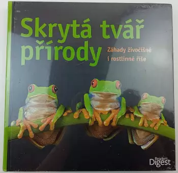 Název varianty