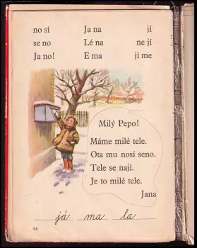 Název obrázku