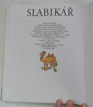 Název obrázku