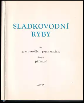 Název obrázku