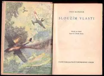 Název obrázku
