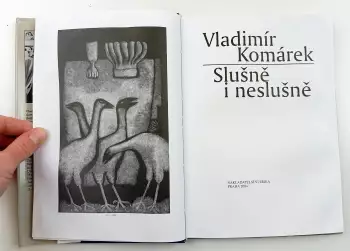 Název obrázku