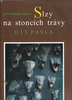 Název varianty