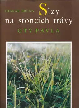 Název obrázku
