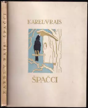 Název varianty