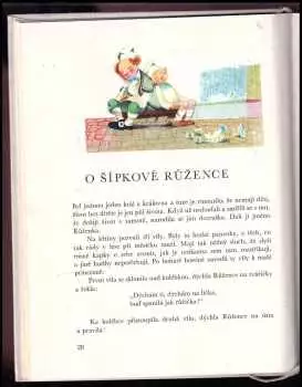 Název obrázku