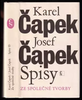 Název varianty