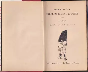 Název obrázku