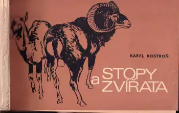 Název obrázku