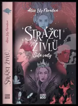 Název varianty