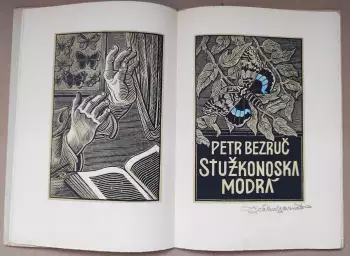 Název obrázku
