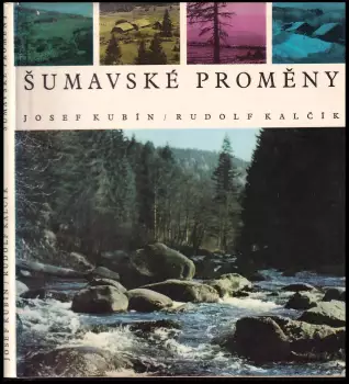 Obrázek varianty