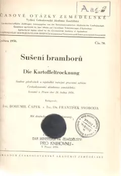 Sušení bramborů