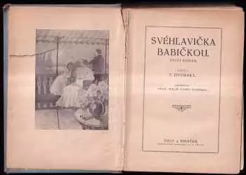 Název obrázku