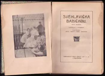 Název obrázku