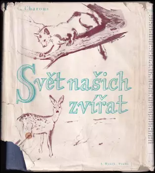 Název obrázku