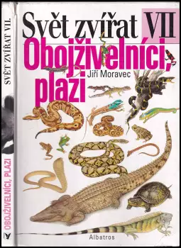 Název obrázku