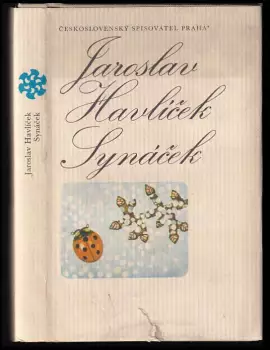 Název varianty