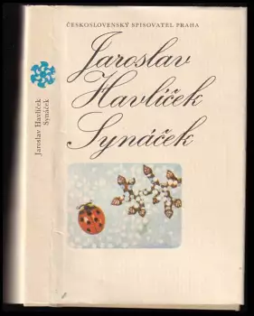 Název varianty