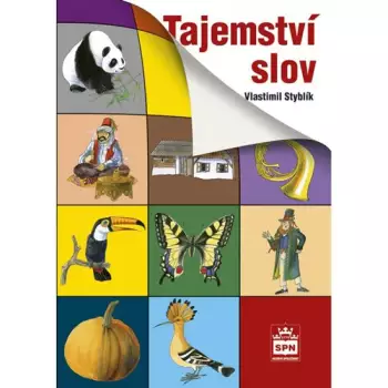 Název varianty