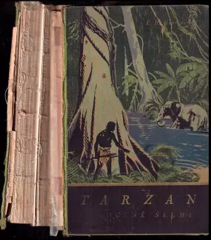 Název obrázku