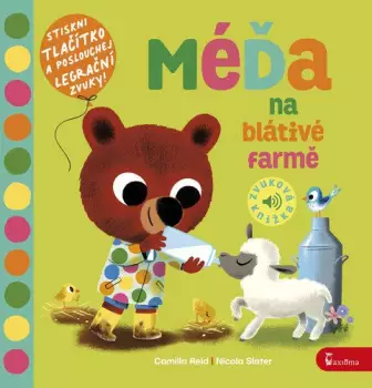 Název varianty