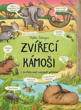 Název varianty