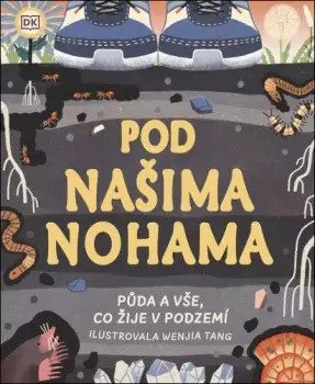 Název varianty