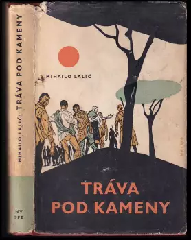 Název varianty