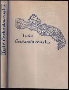 Obrázek varianty