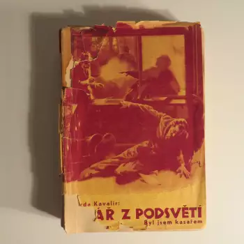 Název obrázku