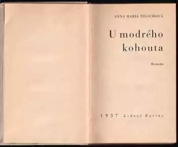 Název obrázku