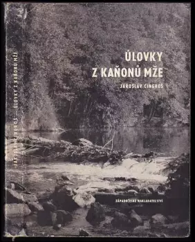 Název obrázku