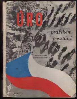 Název obrázku