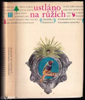 Název varianty