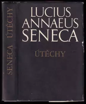 Obrázek varianty
