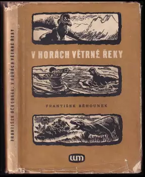 Název varianty