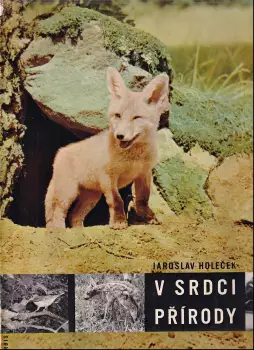 Název obrázku