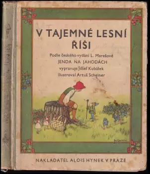 Název varianty