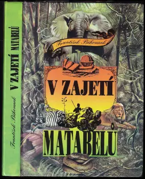 Název varianty