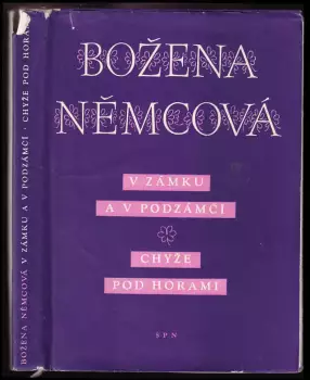 Název varianty