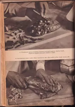 Název obrázku