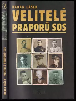 Obrázek varianty