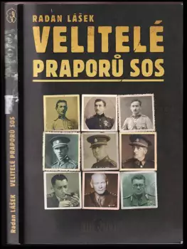 Obrázek varianty