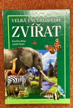 Název obrázku