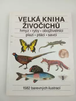 Název obrázku