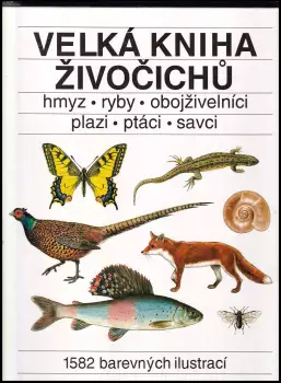 Název obrázku