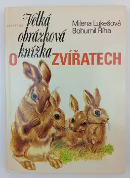 Název obrázku